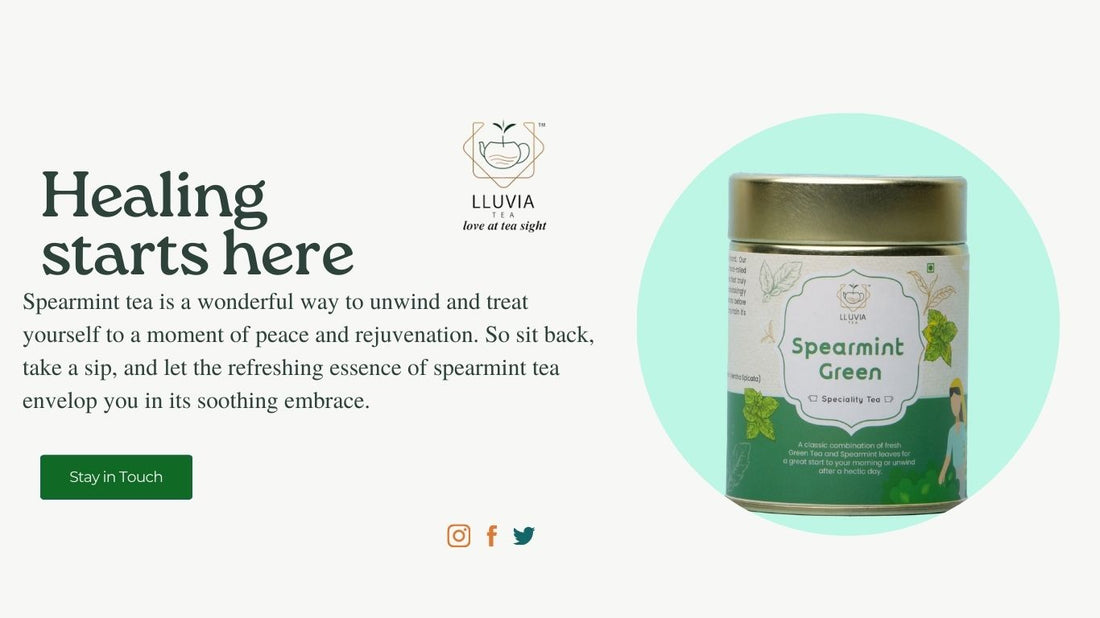 Spearmint Tea lluvia Tea PCOD PCOD Hormonal balance