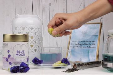 Lluvia Tea's Blue Tea. Made from premium butterfly pea flowers, this antioxidant-rich blue tea