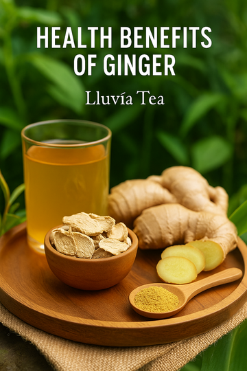 Ginger slices, root, powder, and tea by Lluvia Tea & Spices