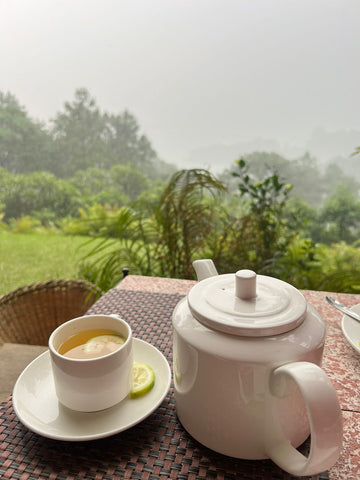 BLACK TEA COLLECTION