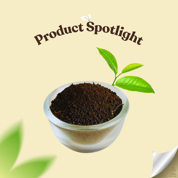 Pyaalee Black Assam Tea for Strong Kadak Chai | LLuvia Tea | 100g-1kg