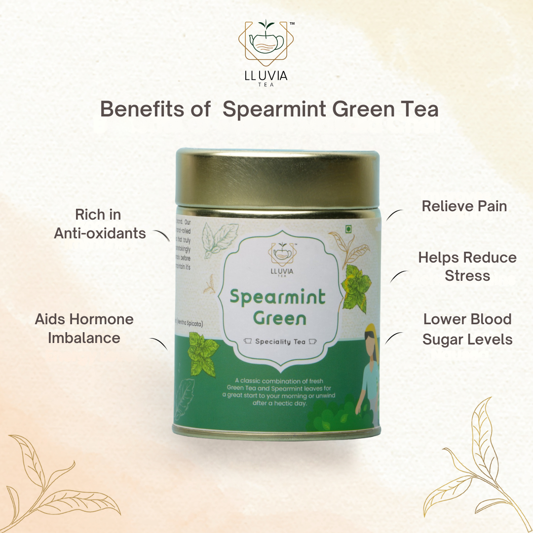 Spearmint Green Tea - Refreshing and Aromatic Blend - Premium Green Tea Leaves with Spearmint - Antioxidant-Rich and Invigorating - Perfect for Relaxation and Wellness - Buy Now