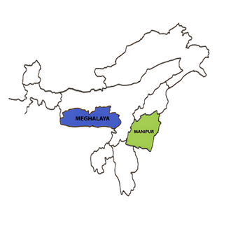 Premium Cinnamon from Meghalaya — Hand-Peeled, Sun-Dried & Naturally Grow