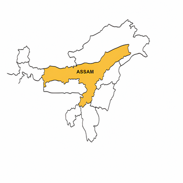 Karbi Anglong Organic Ginger – Premium Grade (Nadia & Aizol Varieties